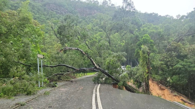黑雨期间录20宗山泥倾泻 黑雨期间录20宗山泥倾泻