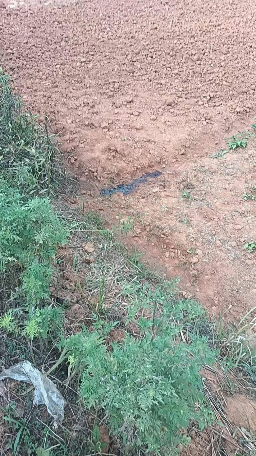 发现尸体的地方。 发现尸体的地方。