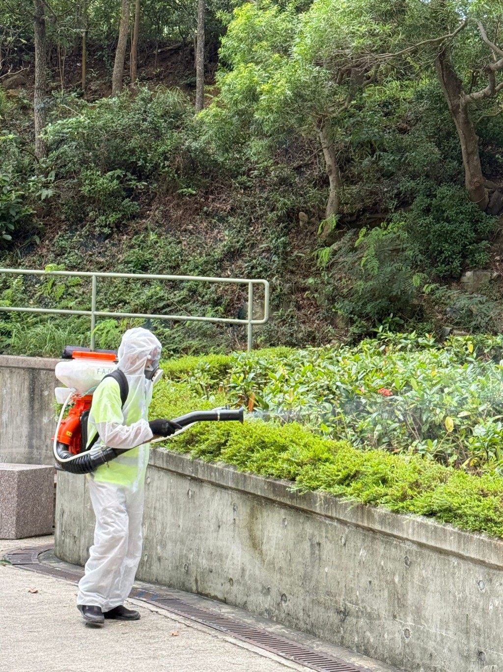食环署职员加强灭蚊的工作。 食环署职员加强灭蚊的工作。