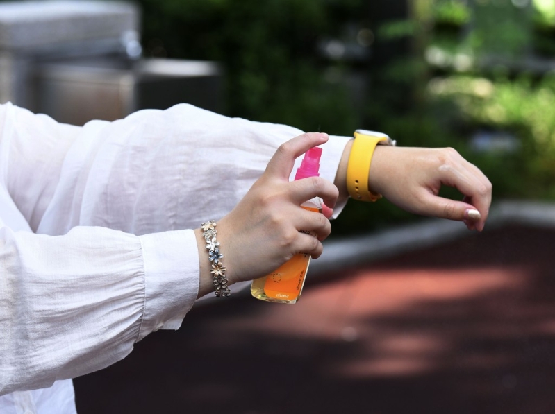 白纹伊蚊可传播基孔肯雅热及登革热,食环署呼吁大众采取防蚊措施。 资料图片