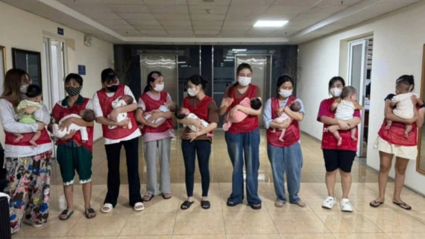 越南捣破大型代孕集团救出11婴 越南捣破大型代孕集团救出11婴