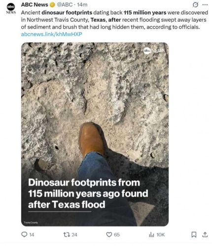 德州洪水冲刷沉积层后,首次露出保存超过1.1亿年的高棘龙脚印,单个长达50公分。 德州洪水冲刷沉积层后,首次露出保存超过1.1亿年的高棘龙脚印,单个长达50公分。