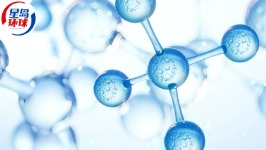 银诺医药传获26万人认购,超购逾5364倍,击败蜜雪成今年“超购王”次位