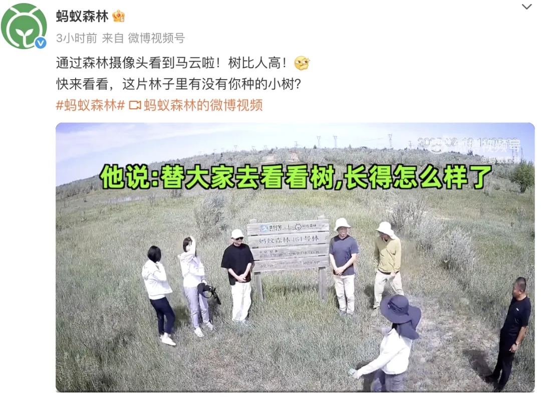 蚂蚁森林 蚂蚁森林