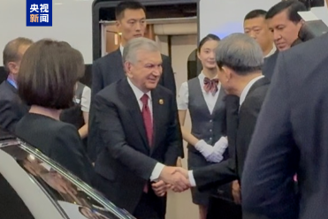 米尔济约耶夫 米尔济约耶夫