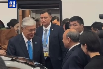 托卡耶夫 托卡耶夫