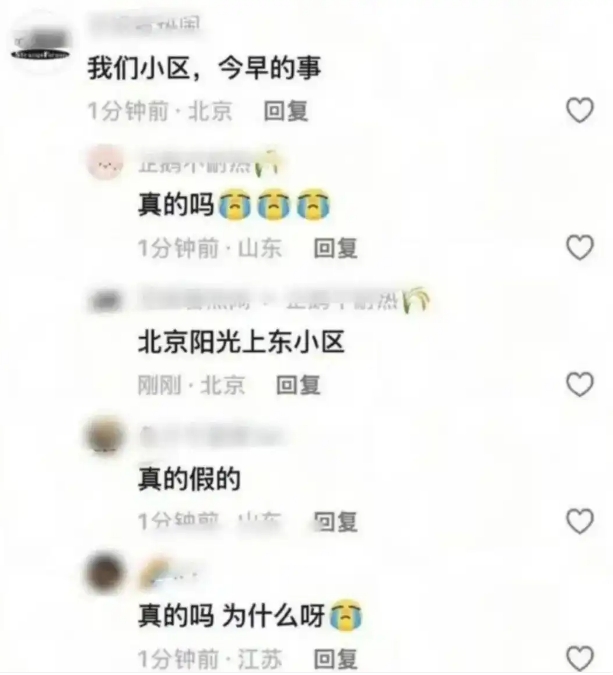 于朦胧1 于朦胧1