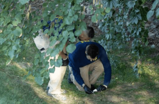 FBI随后在校园附近的林地发现一把以毛巾包裹的 Mauser .30 口径栓动步枪 FBI随后在校园附近的林地发现一把以毛巾包裹的 Mauser .30 口径栓动步枪