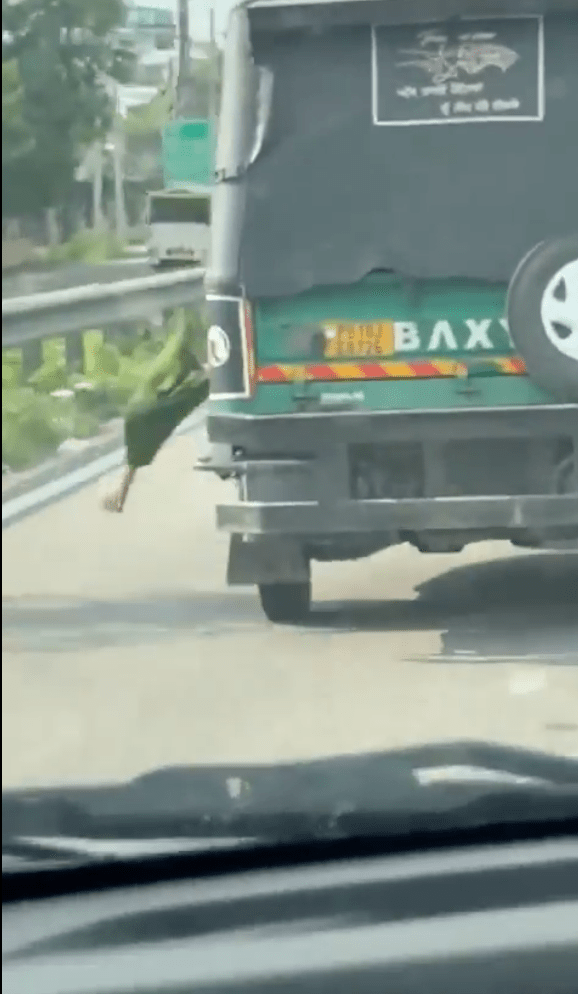 印度女1 印度女1