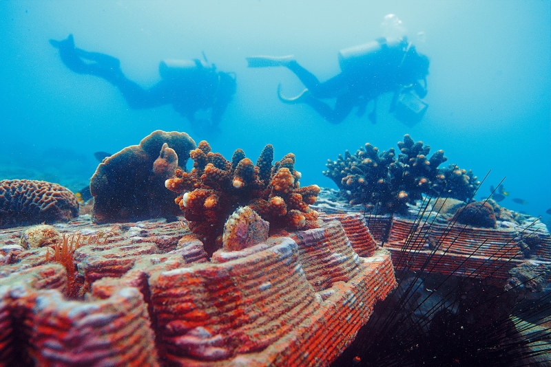 250912_HKSTP_03 250912_HKSTP_03