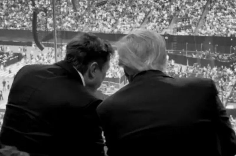 特朗普马斯克4 特朗普马斯克4