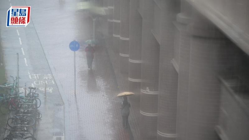 台风桦加沙 台风桦加沙