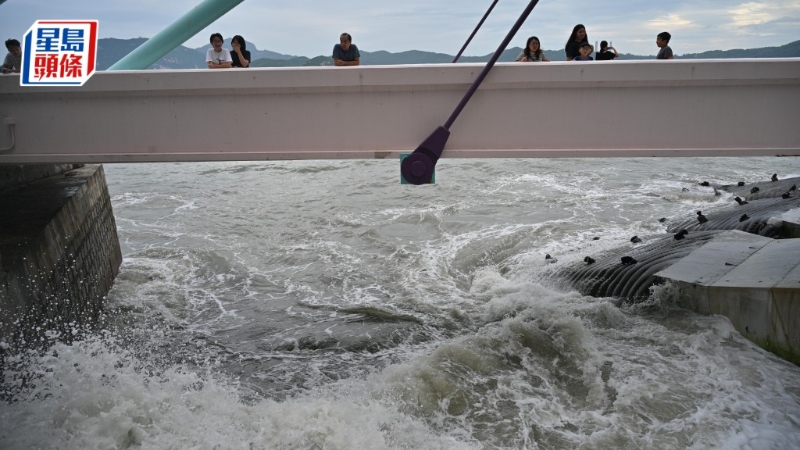 港府暂接169宗塌树 港府暂接169宗塌树