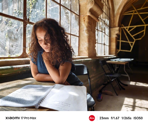 小米17 Pro系列实拍样张首次公布 雷军:逆光之王!