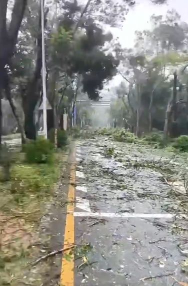 有网民拍下受台风桦加沙影响下,深圳路面情况。 有网民拍下受台风桦加沙影响下,深圳路面情况。