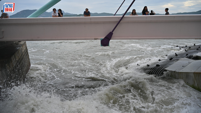 政府暂接437宗塌树、15宗水浸报告 政府暂接437宗塌树、15宗水浸报告