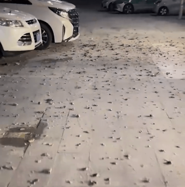 网上影片显示地上满是瓦砾碎片。 网上影片显示地上满是瓦砾碎片。