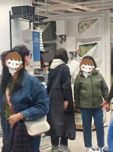 袁咏仪1 袁咏仪1