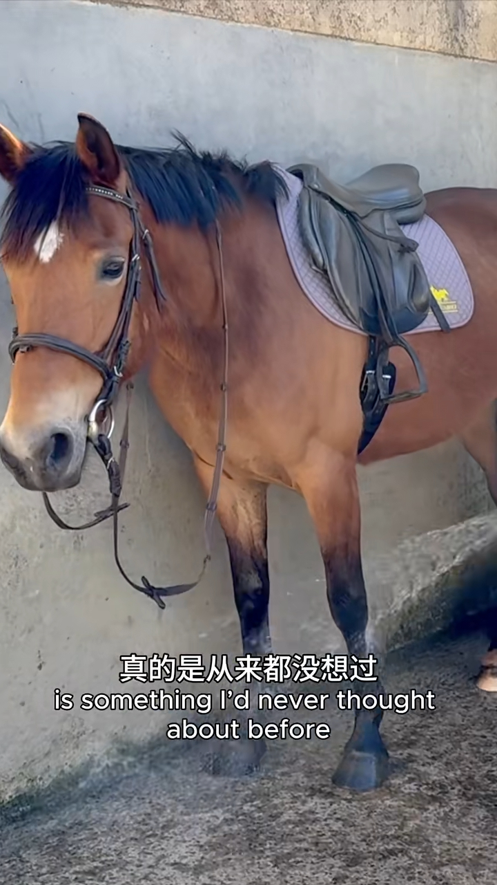 张曼玉在小红书上发布新片,分享自己在法国波尔多一个郊区的游览经历。 张曼玉在小红书上发布新片,分享自己在法国波尔多一个郊区的游览经历。