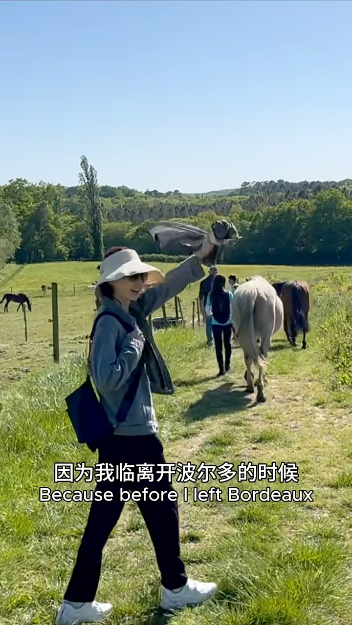 张曼玉打扮朴素。 张曼玉打扮朴素。