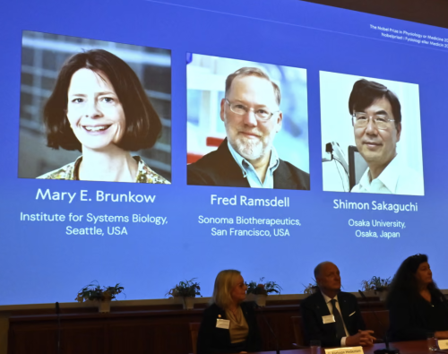 诺贝尔失联 诺贝尔失联