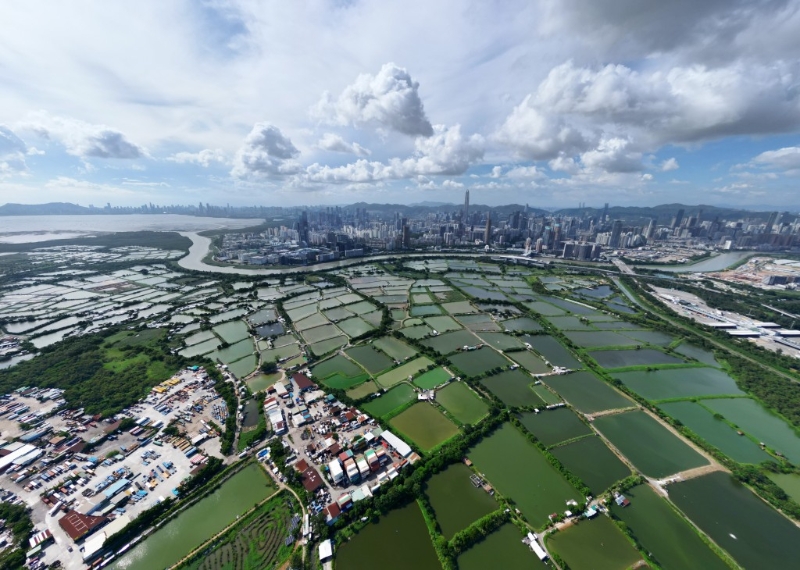 北都发展 北都发展