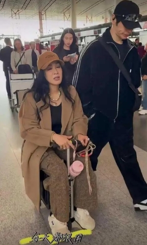 钟丽缇3 钟丽缇3