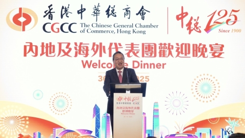 林定国以6大原因向华商代表团说明 林定国以6大原因向华商代表团说明