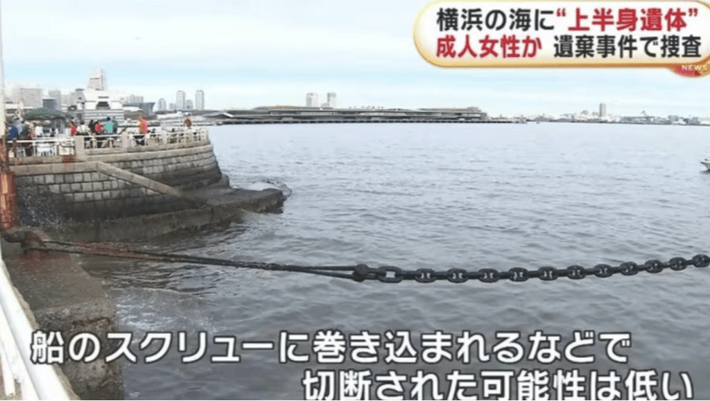 山下公园靠近二战时期保存至今的商船“冰川丸”附近海面上 山下公园靠近二战时期保存至今的商船“冰川丸”附近海面上