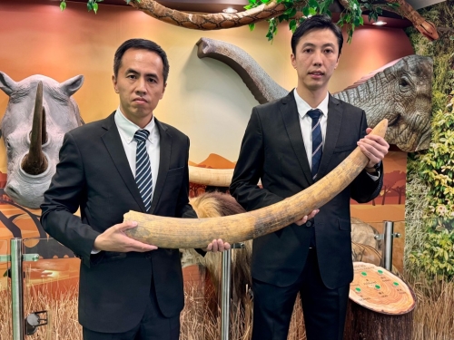 海关有组织罪案调查科高级监督王礼庸(左)及监督张文杰(右)指出,濒危物种走私活动主要透过旅客、货运及邮包3个渠道进行。 海关有组织罪案调查科高级监督王礼庸(左)及监督张文杰(右)指出,濒危物种走私活动主要透过旅客、货运及邮包3个渠道进行。