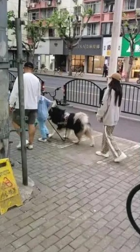 疑似Angelababy的新欢身材高大。 疑似Angelababy的新欢身材高大。