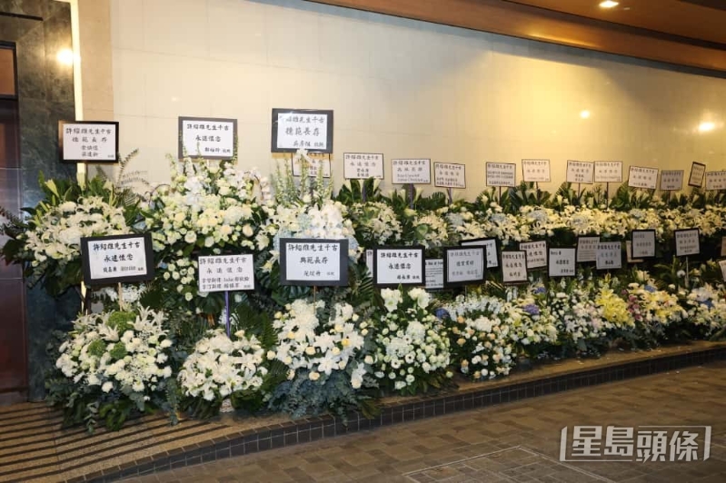 一片花海。 一片花海。