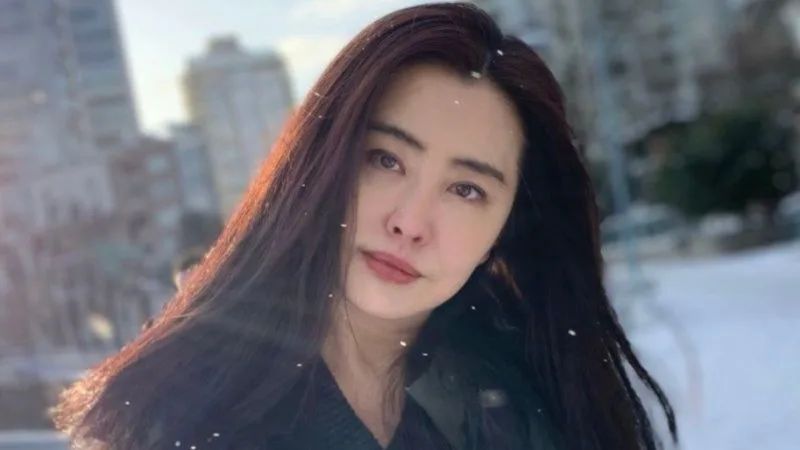 王祖贤已经息影20年。 王祖贤已经息影20年。