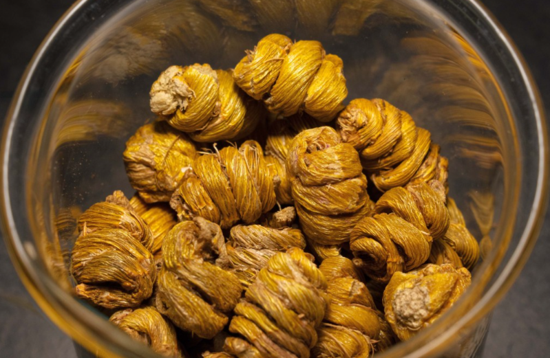 浸会大学1 浸会大学1