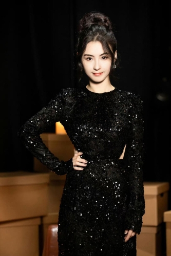 包括张栢芝捐100万港元。 包括张栢芝捐100万港元。