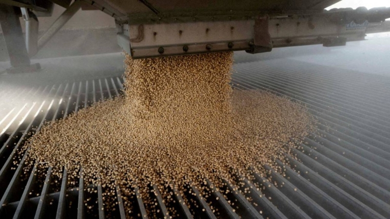 中国进口商预订大批美国大豆。 中国进口商预订大批美国大豆。