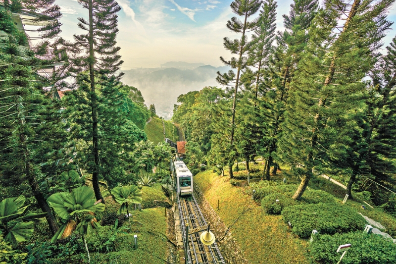 刘丽琴-2195_199-FZ102814766374