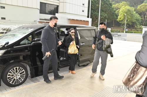 张栢芝今早9时15分到达高等法院 张栢芝今早9时15分到达高等法院