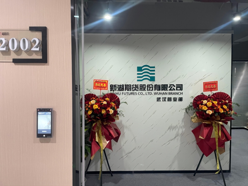 新湖期货 新湖期货