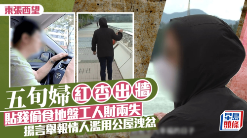 东张西望 东张西望