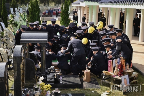 NB251219TP099 NB251219TP099