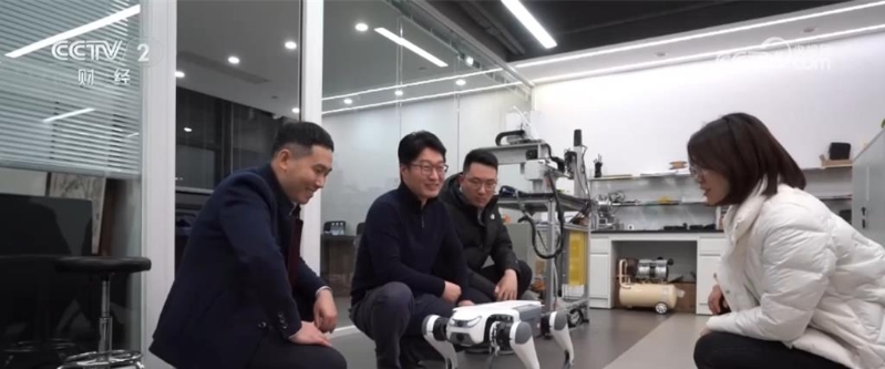 杭州科创企业背后土壤让科技盆景成长为创新雨林。 杭州科创企业背后土壤让科技盆景成长为创新雨林。