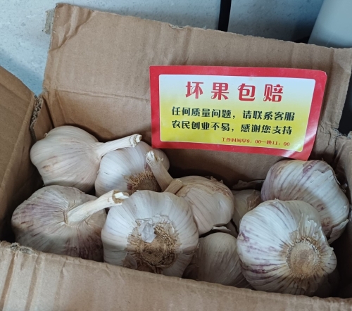陈先生展示近日网购的山东大蒜,包装纸盒附有“坏果包赔”的字条。 陈先生展示近日网购的山东大蒜,包装纸盒附有“坏果包赔”的字条。