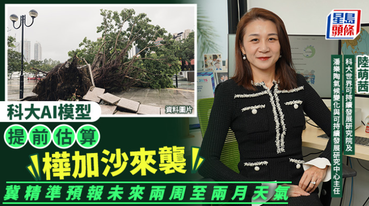 科大AI模型提前估算“桦加沙”来袭 科大AI模型提前估算“桦加沙”来袭