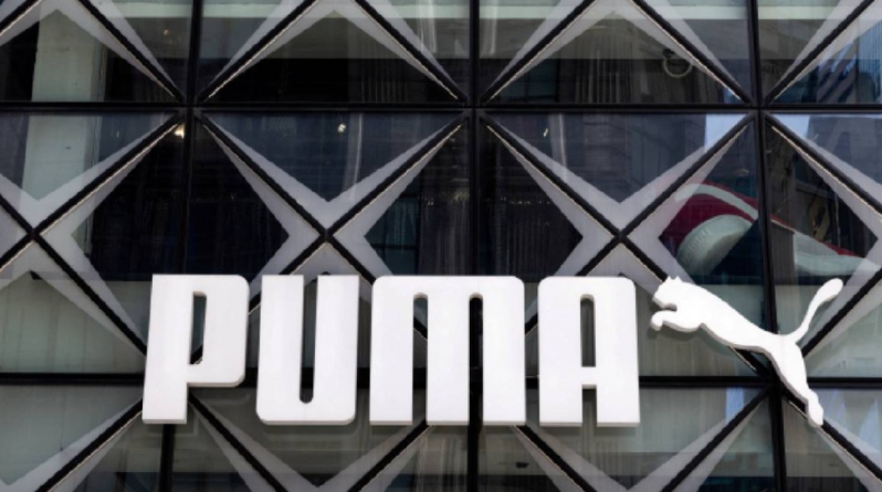 puma puma
