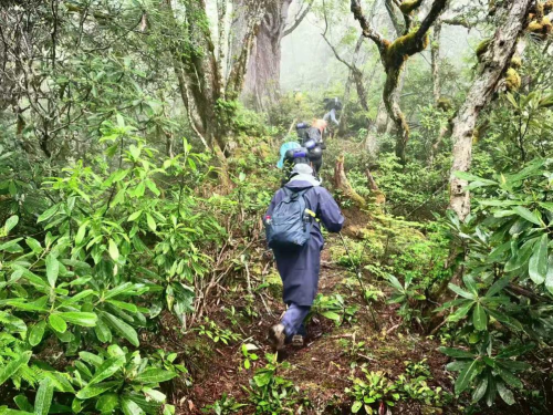 南方电网2025年全社会用电量首破1.7万亿度 南方电网2025年全社会用电量首破1.7万亿度