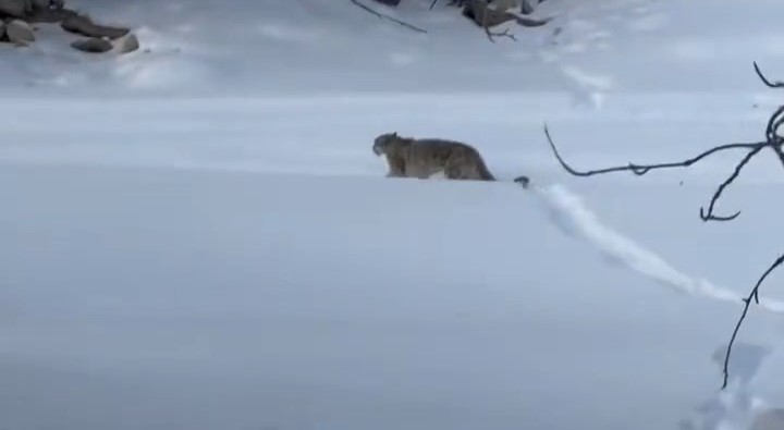 4dEX90owlx08uMaYNeI001041200nlZE0E010_mp4_snapshot_00_19__2026_01_24_09_26_03_ 4dEX90owlx08uMaYNeI001041200nlZE0E010_mp4_snapshot_00_19__2026_01_24_09_26_03_