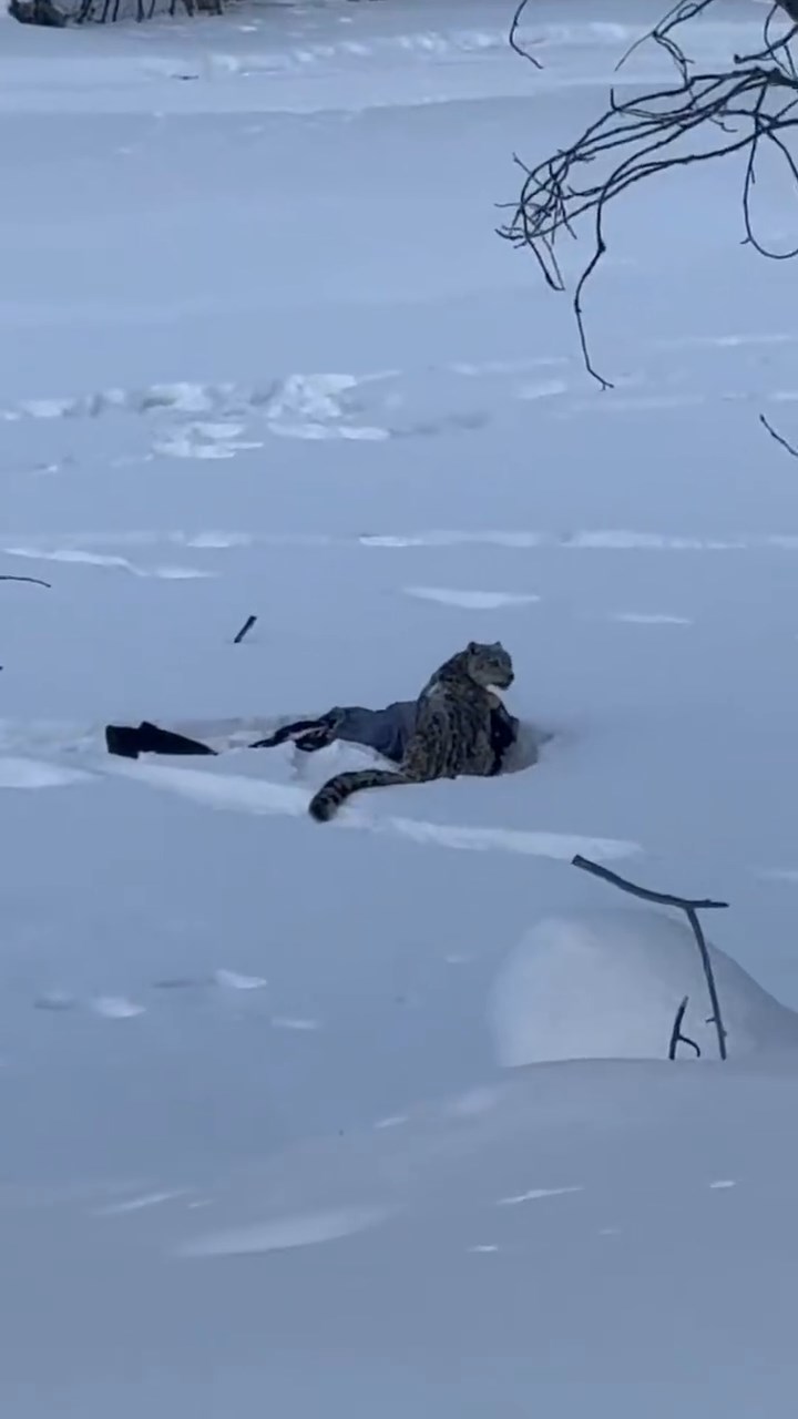 4dEX90owlx08uMaYNeI001041200nlZE0E010_mp4_snapshot_00_49__2026_01_24_09_26_40_ 4dEX90owlx08uMaYNeI001041200nlZE0E010_mp4_snapshot_00_49__2026_01_24_09_26_40_