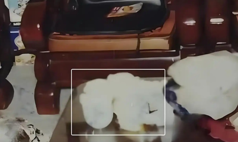 命案现场无财物丢失或性侵迹象,仅有待客茶水显示凶手为熟人。 命案现场无财物丢失或性侵迹象,仅有待客茶水显示凶手为熟人。