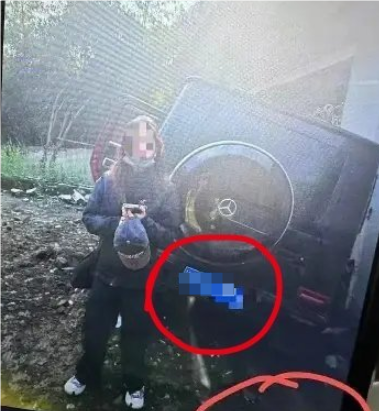 演员金晨被曝肇事逃逸让助理顶包 交警回应:正在核实